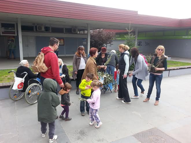 zpr maslinove grancice